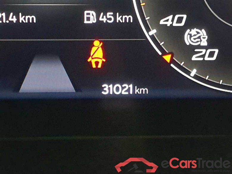 Cupra Formentor (KM7)(08.2020->) DE - SUV5 2.0 TSI EU6d, VZ, 2021 - 2024 #3