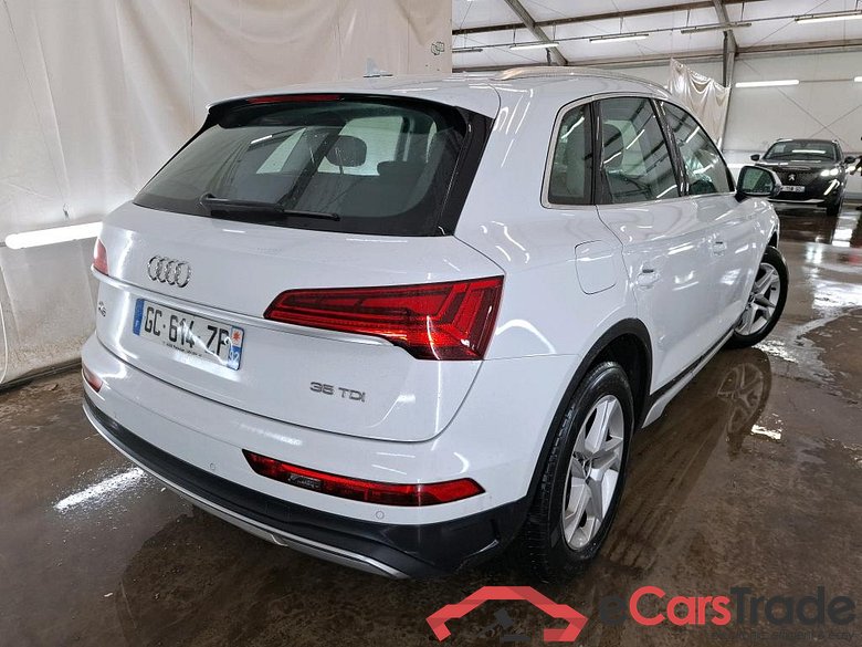 Q5 35 TDI Business Executive 2.0 TDI 165CV BVA7 E6d #3