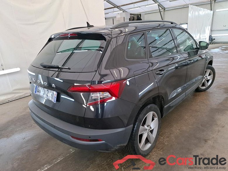 Karoq Business 2.0 TDI 115CV BVA7 E6d #3