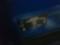preview Ford Kuga #4