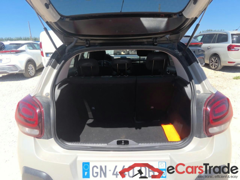 C3 PT 110 SHINE AFFAIRE RISK chtx #6