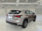 preview Lexus NX series #1