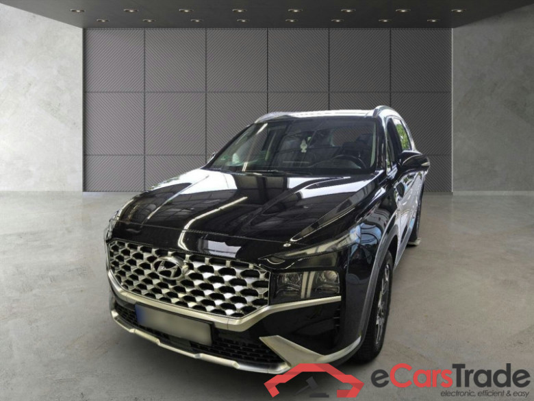 Hyundai Santa Fe  #1