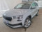 preview Skoda Karoq #0
